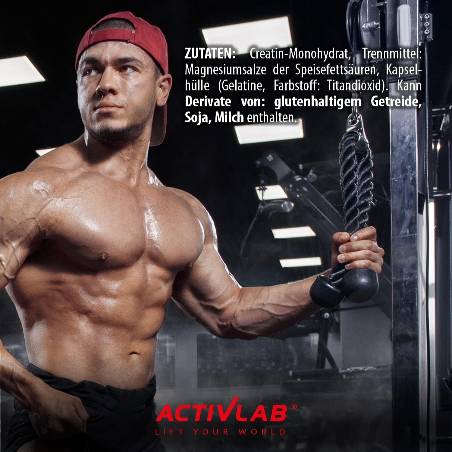 Activlab Creatine Capsules 300 Kapseln – Bild 6