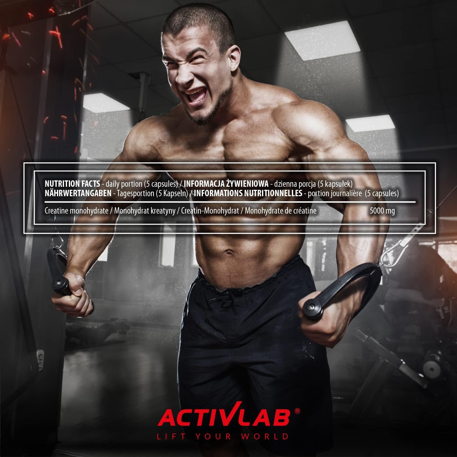 Activlab Creatine Capsules 300 Kapseln – Bild 7